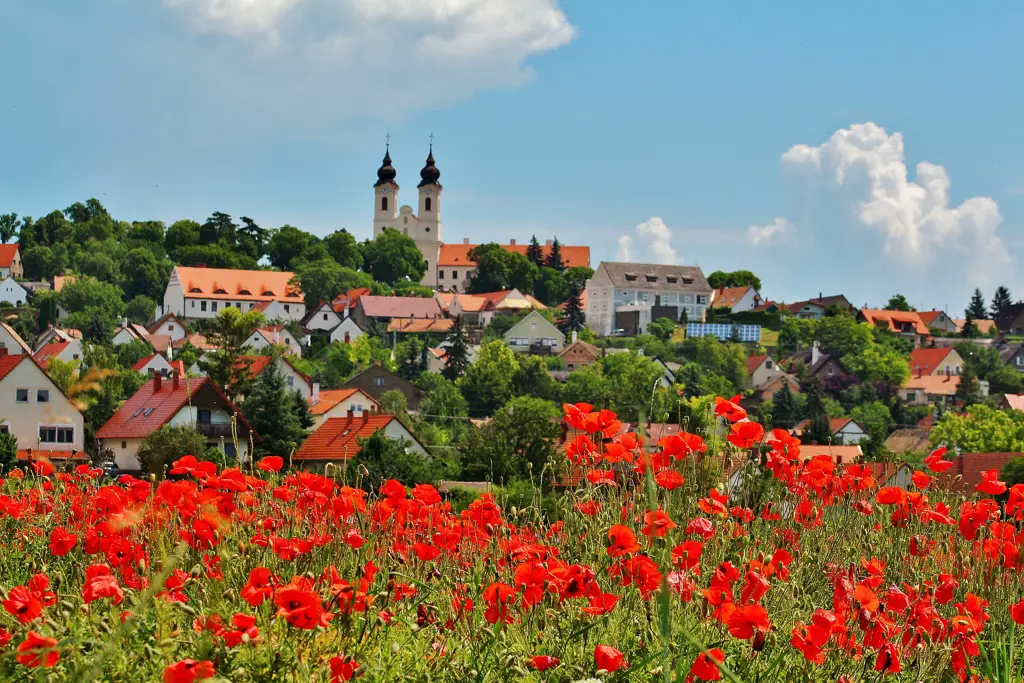 Holiday in Hungary